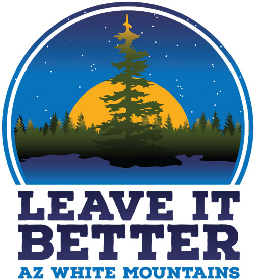 Leave It Better Logo